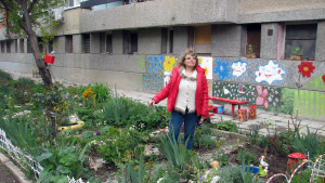 Конкурс междублоково пространство Търговище