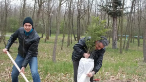 пролетно почистване Добрич