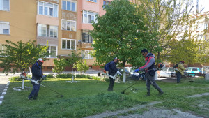 Косене на тревата