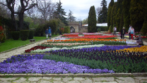 лалета Ботаническа градина Балчик