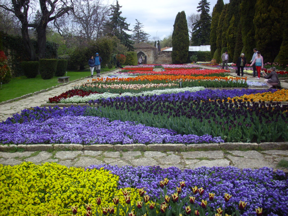 Парад на лалетата в Ботаническата градина в Балчик