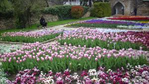 лалета Ботаническа градина Балчик