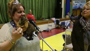 Карнавал ревю на котки