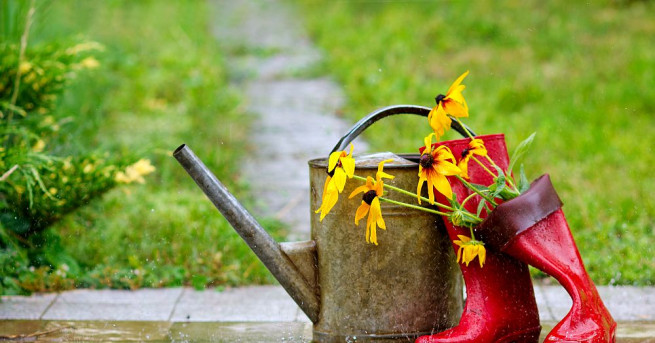 До петък вечер времето ще се задържи топло и слънчево