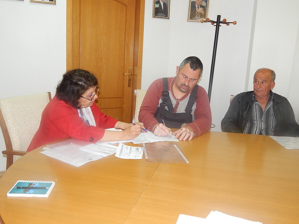 pleven