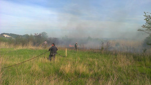 горски пожар Шумен