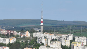 pleven