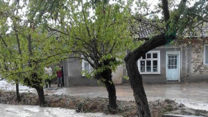 Ветово Шумен