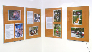 Крайдунавските празници на културата Никопол 2017