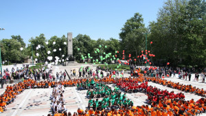 училище Видин