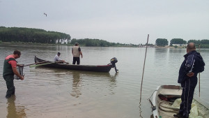 зарибяване река Дунав
