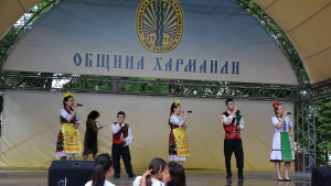 Харманли Вики концерт лечение