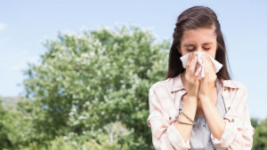 сенна хрема