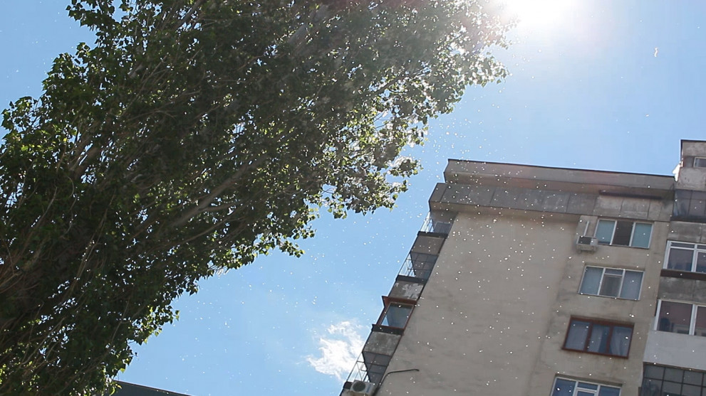 Започва сезонът на алергиите