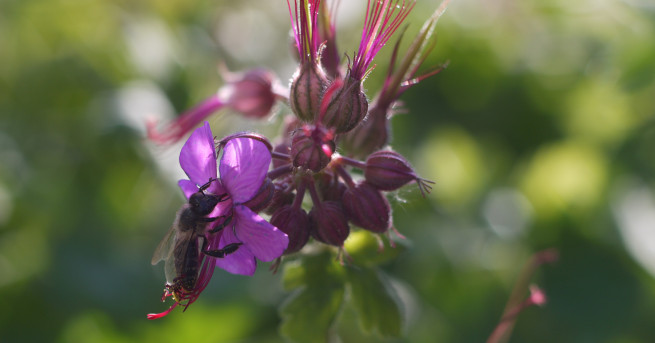 През нощта ще е предимно ясно в четвъртък предимно слънчево