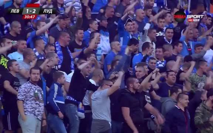 Голова фиеста на 