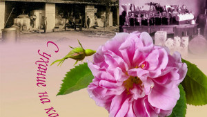 музей добрич