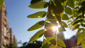 времето слънце