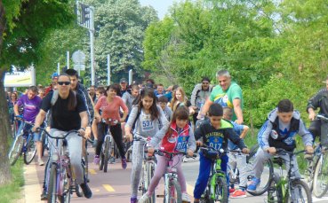 Главната алея в 