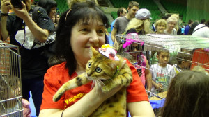 Карнавал ревю на котки