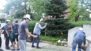 лов на съкровища Враца