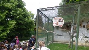 Посещение на деца