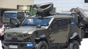 пустинни котки