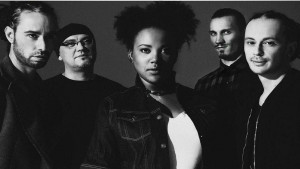 концерт Враца