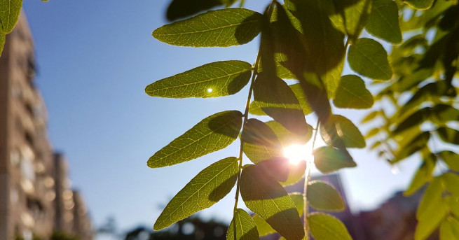 През нощта ще бъде предимно ясно с временни увеличения на