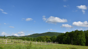 planina