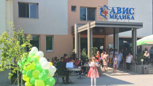 avis