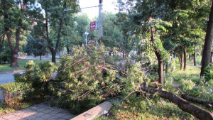 буря в Русенско