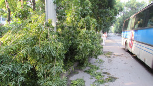 буря в Русенско