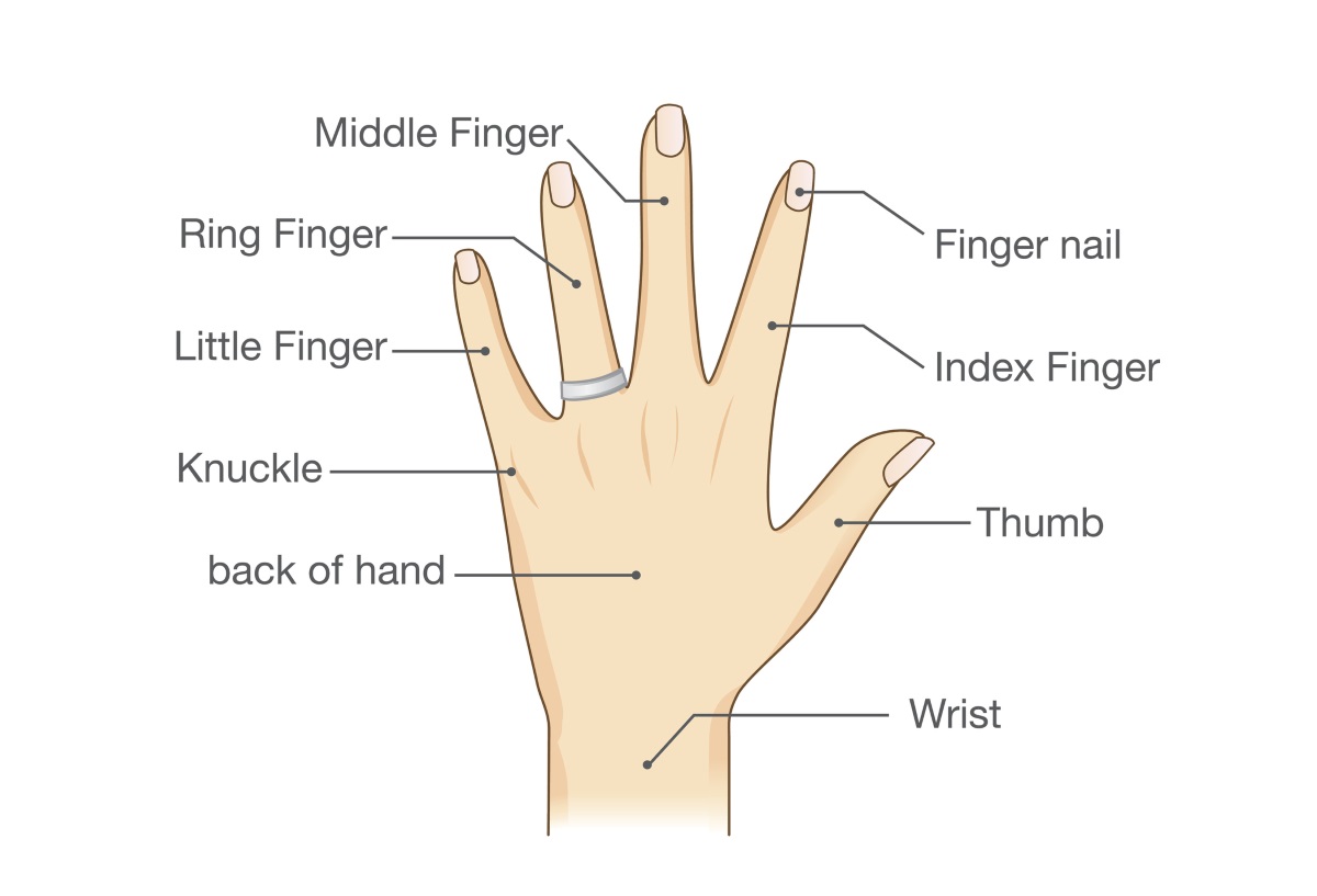 Пръстите на ръцете и какво казват те за нас