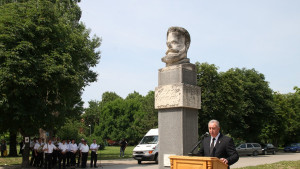 Празник Видин