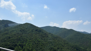 okolna