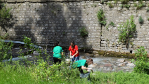 РИОСВ Враца