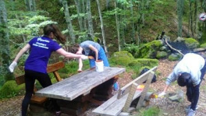 Централен Балкан