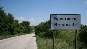 brestovec