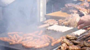 Добрич мези