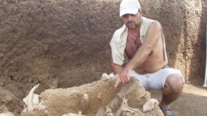 еленови рога Оходен