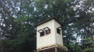 Преславско дивеч