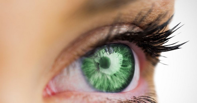 Френски учени констатираха че смисълът на думите е достатъчен за