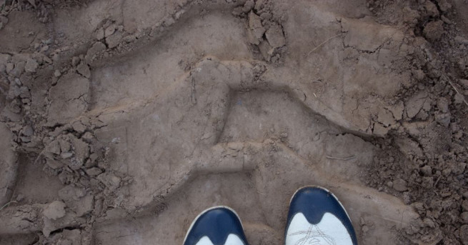 Опасни предизвикателства се разпространяват сред столични тийнейджъри Това става ясно