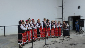 От дума на дума от песен на песен