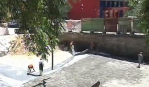 Изкопът за жилищната сграда, засегнал археологическото находище