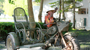 Андрей Лекарски