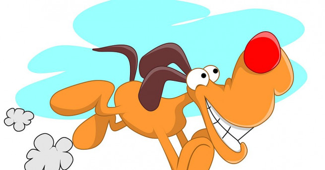 Умно куче стана сензация в интернет след като го заснеха