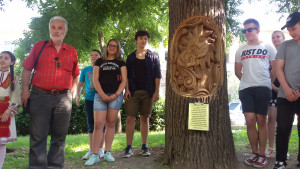 дърво Шумен