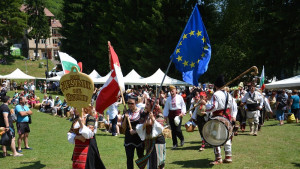 събор Леденика